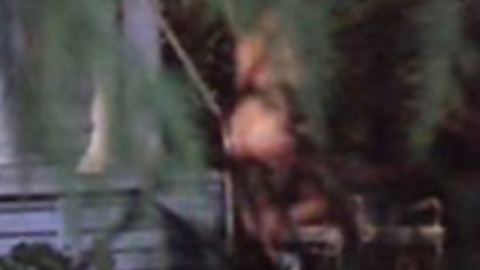 Pic: Daryl Hannah in Roxanne