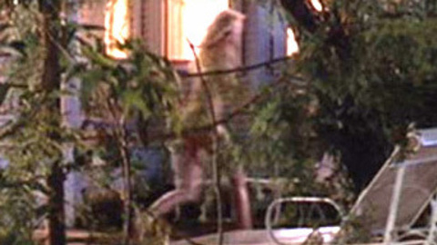 Pic: Daryl Hannah in Roxanne