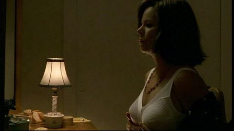 Pic: Marcia Gay Harden in Home