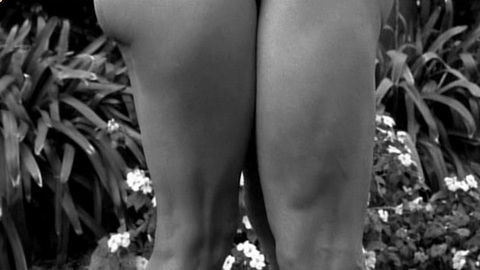 Pic: Andrea Thompson in A Gun, a Car, a Blonde