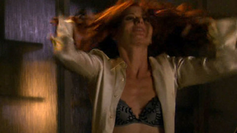 Pic: Debra Messing in The Starter Wife