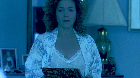 Pic: Amy Irving in Traffic