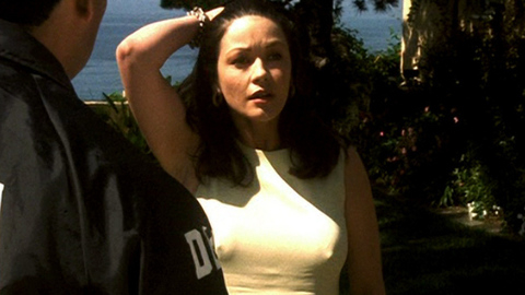 Pic: Catherine Zeta-Jones in Traffic (2000)