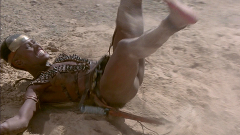 Pic: Grace Jones in Conan the Destroyer