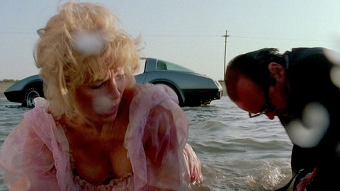 Pic: Shirley MacLaine in Terms of Endearment