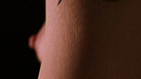 Pic: Nicole Kidman in The Human Stain