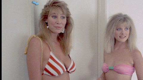 Pic: Kathleen Kinmont in Fraternity Vacation