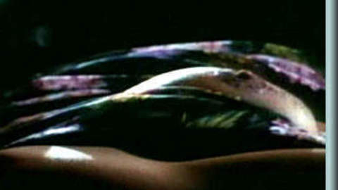 Pic: Kathleen Kinmont in Night of the Warrior