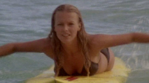 Pic: Cheryl Ladd in Charlie's Angels