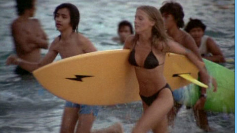 Pic: Cheryl Ladd in Charlie's Angels