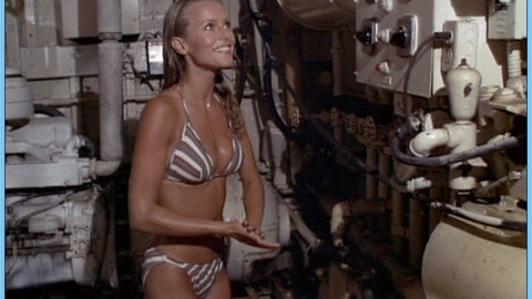 Pic: Cheryl Ladd in Charlie's Angels