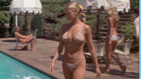 Pic: Cheryl Ladd in Charlie's Angels