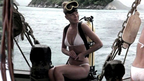 Pic: Cheryl Ladd in Charlie's Angels