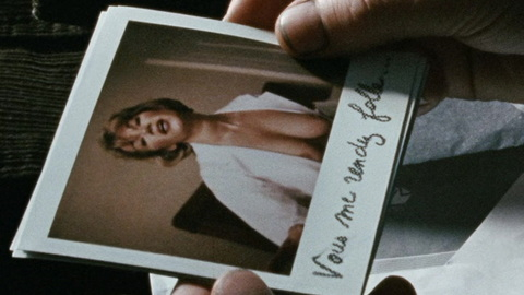 Pic: Brigitte Lahaie in Calvaire