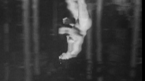 Pic: Hedy Lamarr in Ecstasy