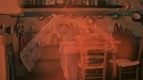 Pic: Diane Lane in Priceless Beauty