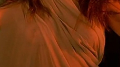 Pic: Diane Lane in Priceless Beauty