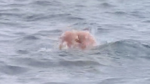 Pic: Sheryl Lee in Kiss the Sky