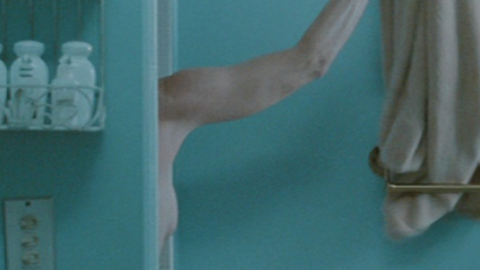 Pic: Melissa Leo in Welcome to the Rileys