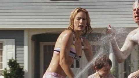 Pic: Téa Leoni in Fun with Dick and Jane