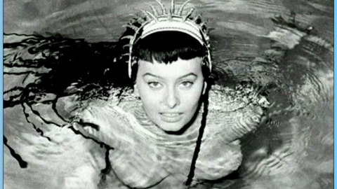 Pic: Sophia Loren in Looking for Sophia