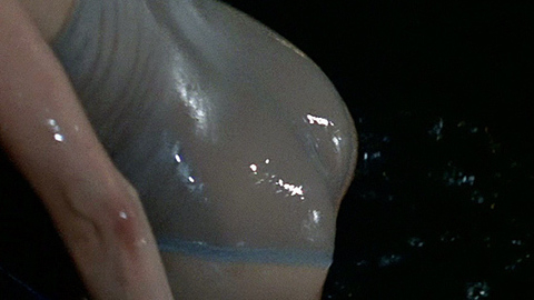 Pic: Carey Lowell in Licence to Kill