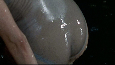 Pic: Carey Lowell in Licence to Kill