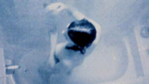 Pic: Angie Harmon in Video Voyeur: The Susan Wilson Story