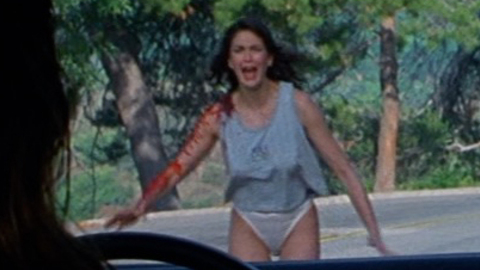 Pic: Teri Hatcher in 2 Days in the Valley (1996)