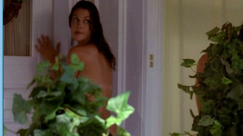 Pic: Teri Hatcher in Desperate Housewives (2004-2011)