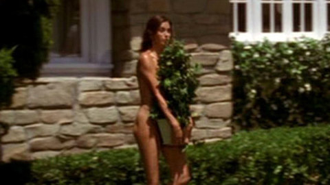 Pic: Teri Hatcher in Desperate Housewives (2004-2011)