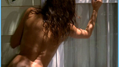 Pic: Teri Hatcher in Desperate Housewives (2004-2011)