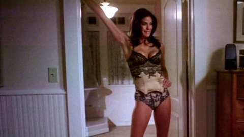 Pic: Teri Hatcher in Desperate Housewives (2004-2011)