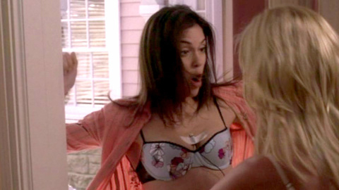 Pic: Teri Hatcher in Desperate Housewives (2004-2011)