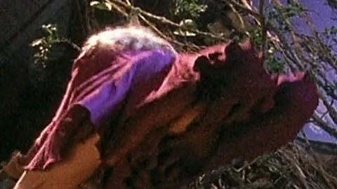 Pic: Goldie Hawn in Bird on a Wire