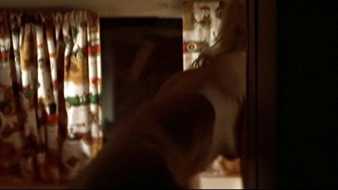 Pic: Goldie Hawn in The Sugarland Express