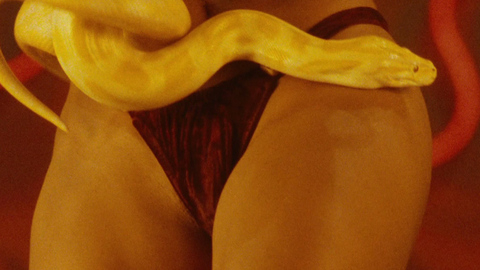 Pic: Salma Hayek in From Dusk Till Dawn