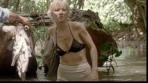 Pic: Anne Heche in Six Days Seven Nights