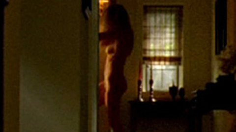 Pic: Anne Heche in Hung