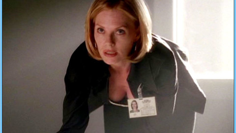 Pic: Marg Helgenberger in CSI: Crime Scene Investigation (2000-2015)