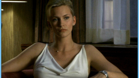 Pic: Natasha Henstridge in The Whole Nine Yards