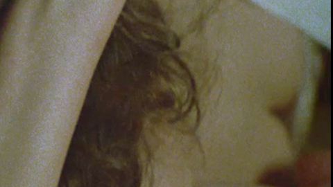 Pic: Barbara Hershey in The Stunt Man