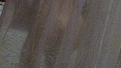 Pic: Barbara Hershey in The Entity