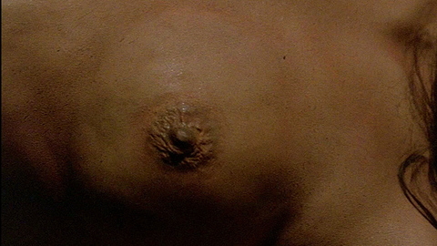 Pic: Barbara Hershey in The Entity