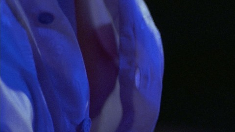 Pic: Lauren Holly in Band of the Hand
