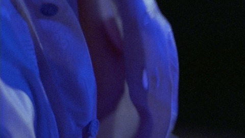 Pic: Lauren Holly in Band of the Hand
