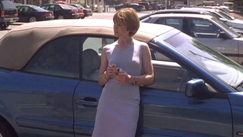 Pic: Holly Hunter in Things You Can Tell Just by Looking at Her