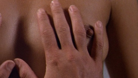 Pic: Lauren Hutton in American Gigolo