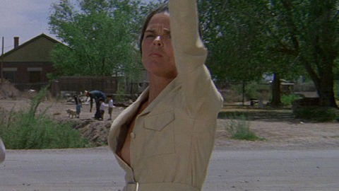 Pic: Ali MacGraw in The Getaway