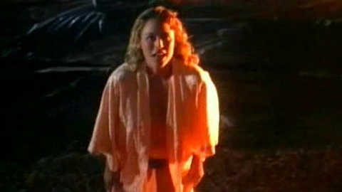 Pic: Virginia Madsen in The Hot Spot